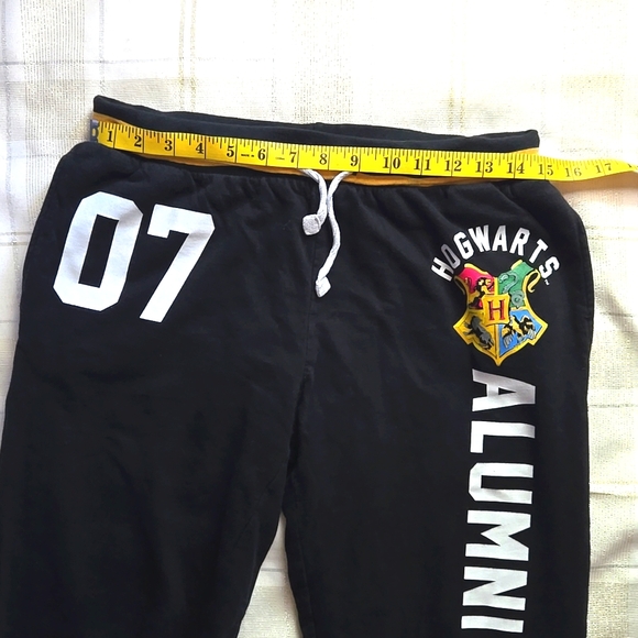 Harry Potter Hogwarts Alumni Joggers - Picture 12 of 14